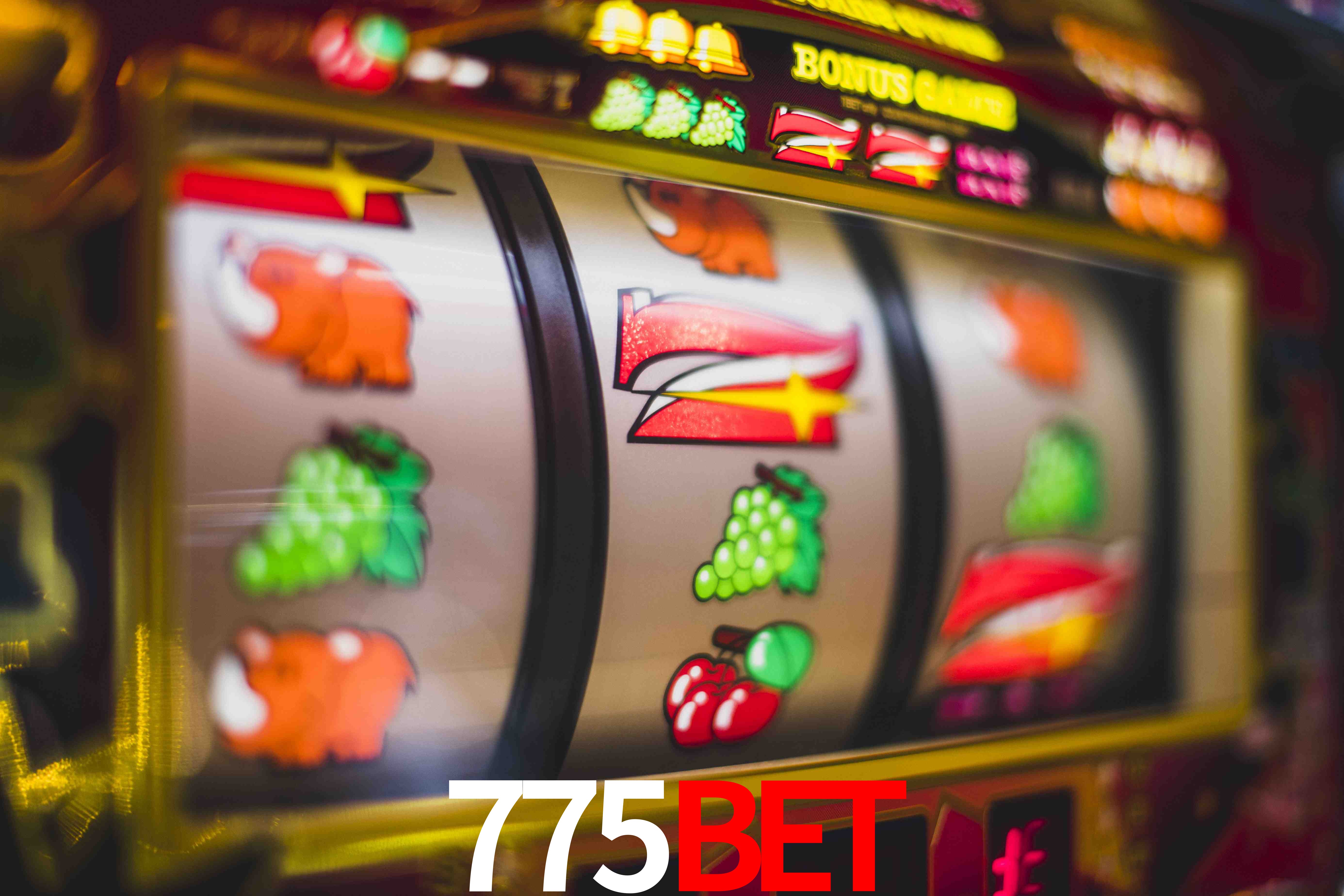 Football Betting 775bet